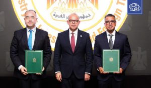 مصر تتحرك لتوطين صناعة البطاريات بالتعاون مع الصين