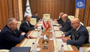 مصر وتونس تتمسكان بحل ليبي خالص وإجراء الانتخابات بالتزامن