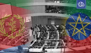 إريتريا تطالب مجلس الأمن بإدانة إثيوبيا بتهمة إعلان الحرب