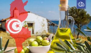 تونس.. زيت الزيتون يضيف 1.1 مليار دينار إلى صادرات