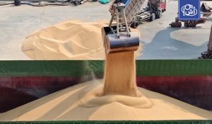 روسيا ترفع صادرات الحبوب إلى المغرب 60% خلال سبتمبر