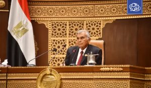 القاهرة تتلقى دعماً يمنياً لموقفها الدفاعي تجاه السعودية