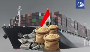 مصر تستورد 8 ملايين طن من الذرة و8.6 مليون طن من القمح