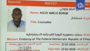 تبادل طرد دبلوماسيين بين مصر وإثيوبيا